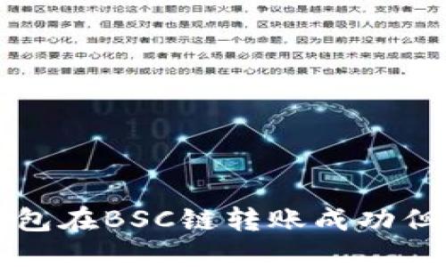 如何解决TP钱包在BSC链转账成功但未到账的问题