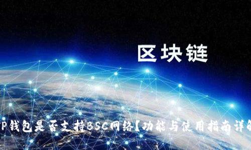 TP钱包是否支持BSC网络？功能与使用指南详解