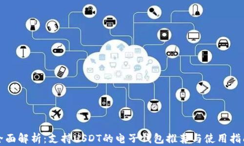 
全面解析：支持USDT的电子钱包推荐与使用指南