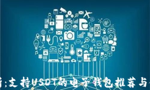 
全面解析：支持USDT的电子钱包推荐与使用指南