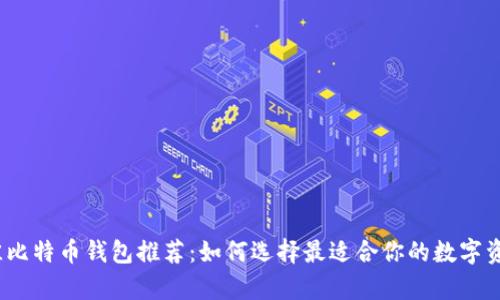 2023年最佳比特币钱包推荐：如何选择最适合你的数字资产存储方案