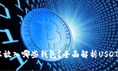 USDT可以放入哪些钱包？全面解析USDT钱包选择