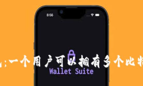 比特币钱包：一个用户可以拥有多个比特币钱包吗？