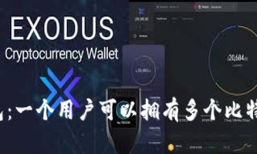 比特币钱包：一个用户可以拥有多个比特币钱包吗？