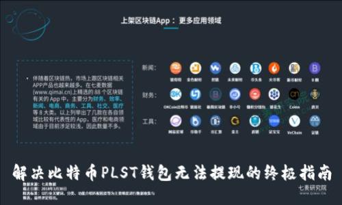 解决比特币PLST钱包无法提现的终极指南