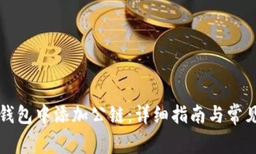 如何在TP钱包中添加公链：详细指南与常见问题解答