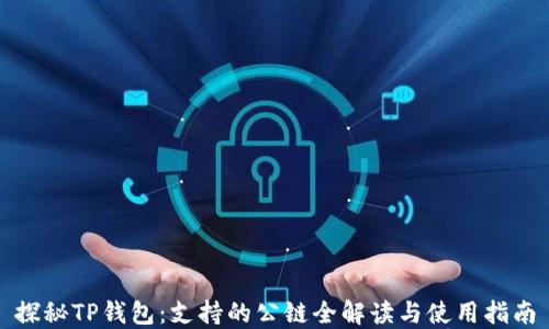 
探秘TP钱包：支持的公链全解读与使用指南
