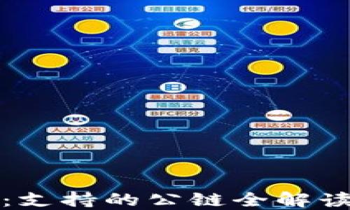 
探秘TP钱包：支持的公链全解读与使用指南